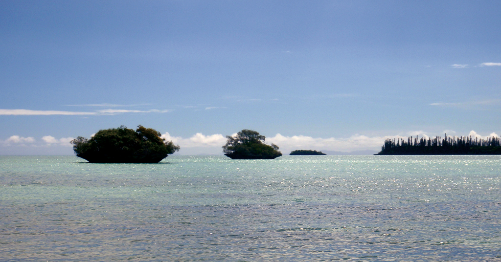 Chronicle New Caledonie