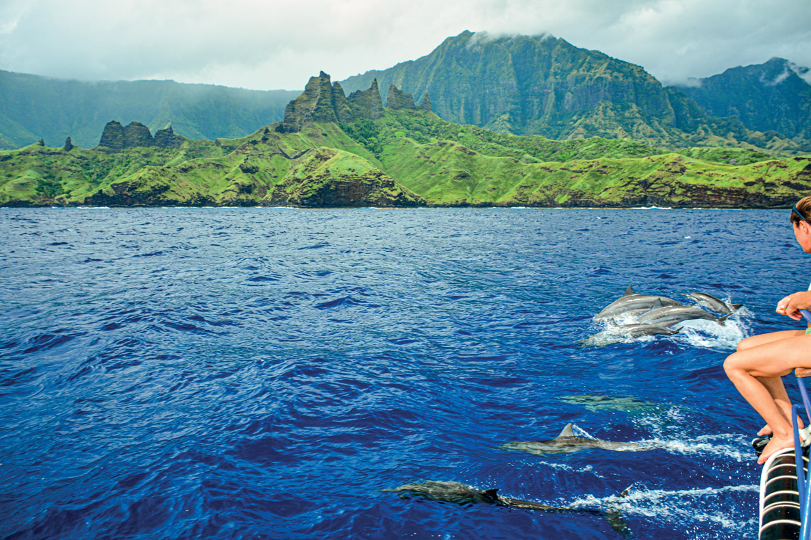 Dolphins greet us at the entrance to Hakaeta Bay.