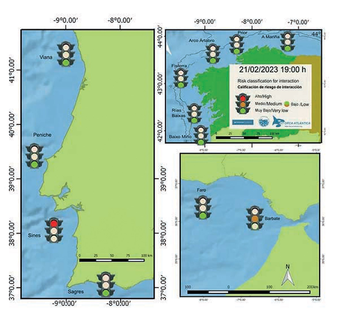A map showing the risk of encountering these animals is available on the orcaiberica.org website in the recommendations tab. It is constantly updated, but its accuracy depends on the information provided by boaters in the area and the authorities. On this entry dated February 21, we can see that the Gladis killer whales were spotted near Sines and that the Strait is not considered safe. On the other hand, the northern part of the peninsula is safe.