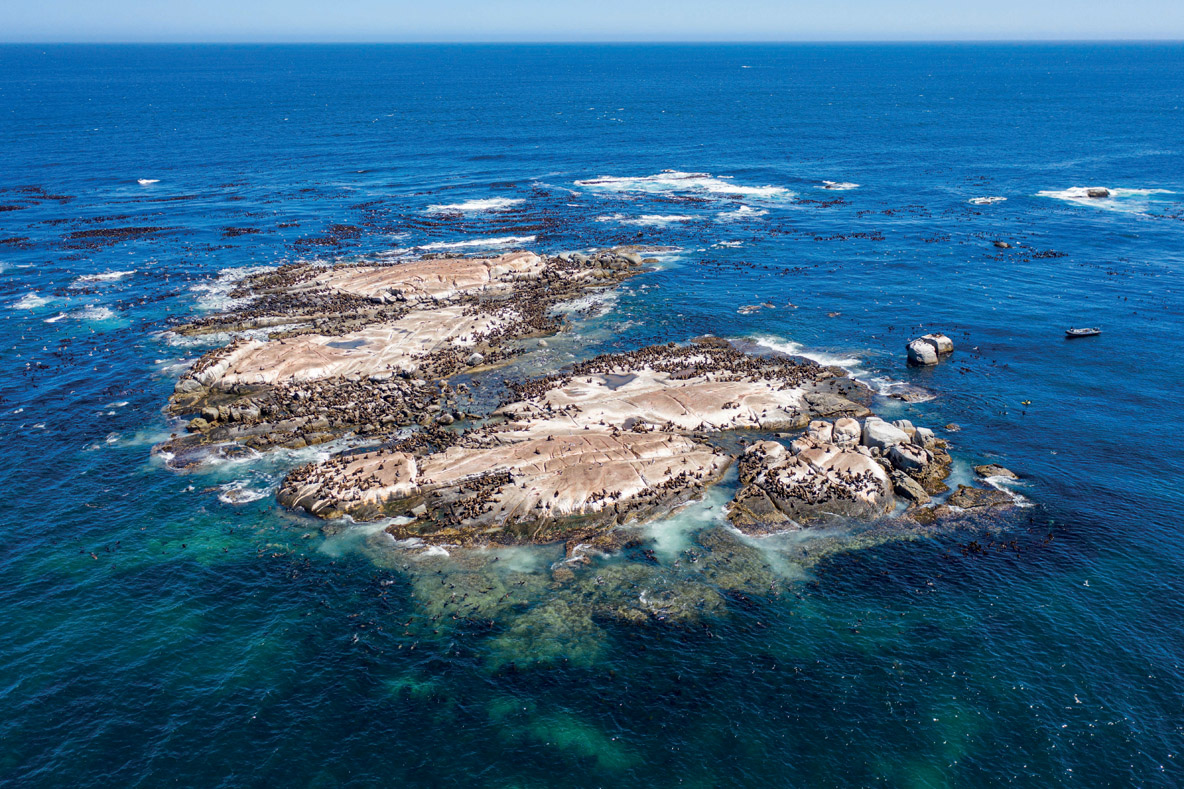 Sea Lion Island, only 2 miles from the port,  is within reach of a good dinghy.