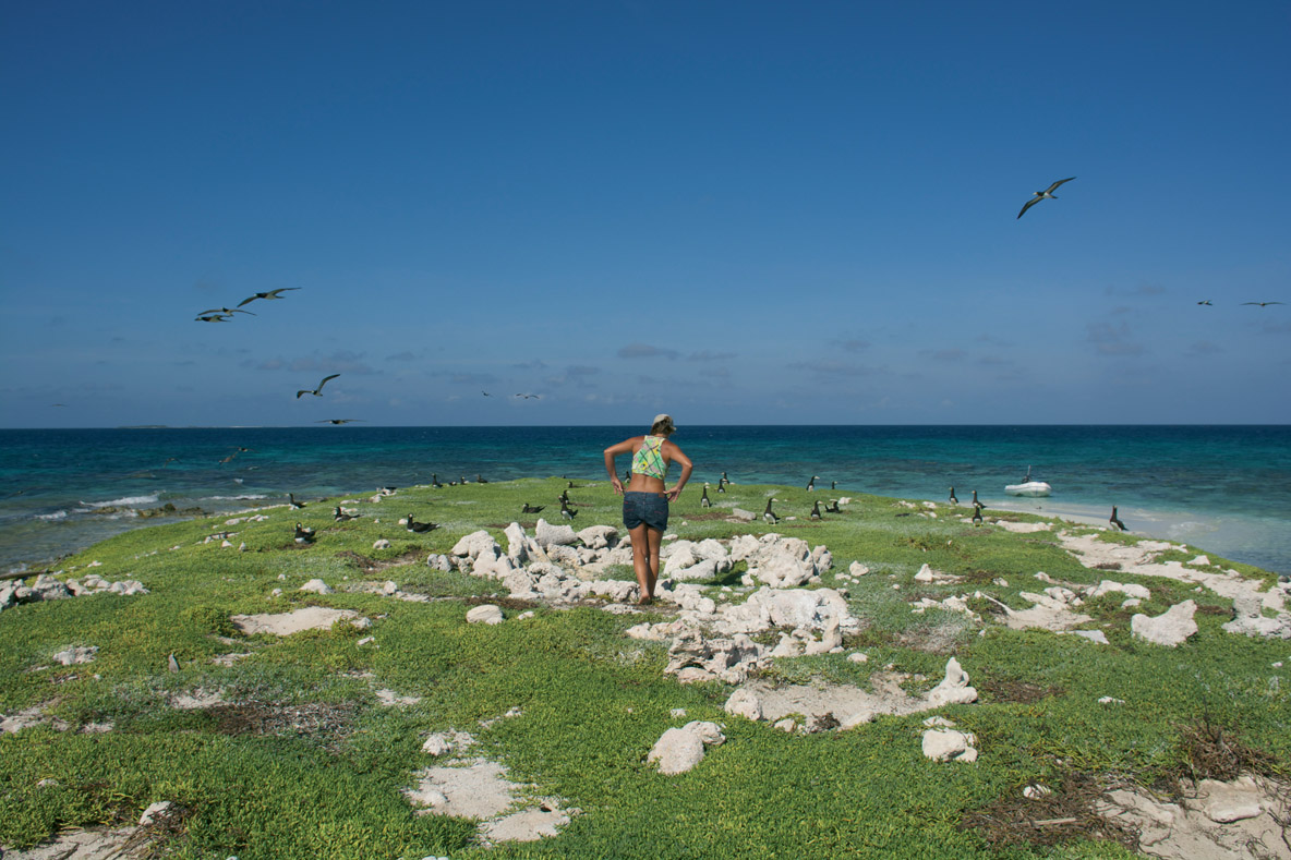 We are careful not to frighten the island’s real inhabitants.  