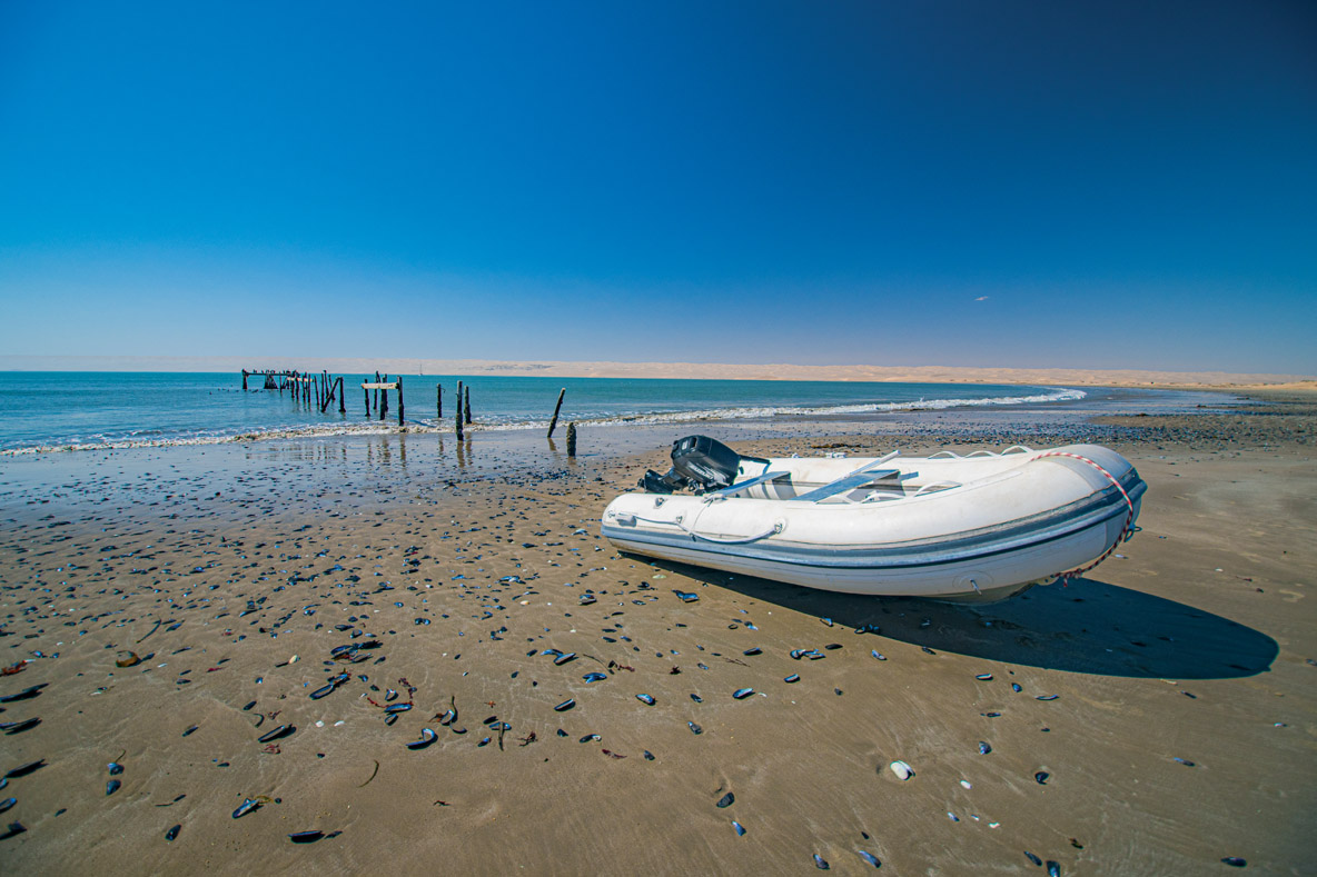The vast beach strewn with mussel shells.