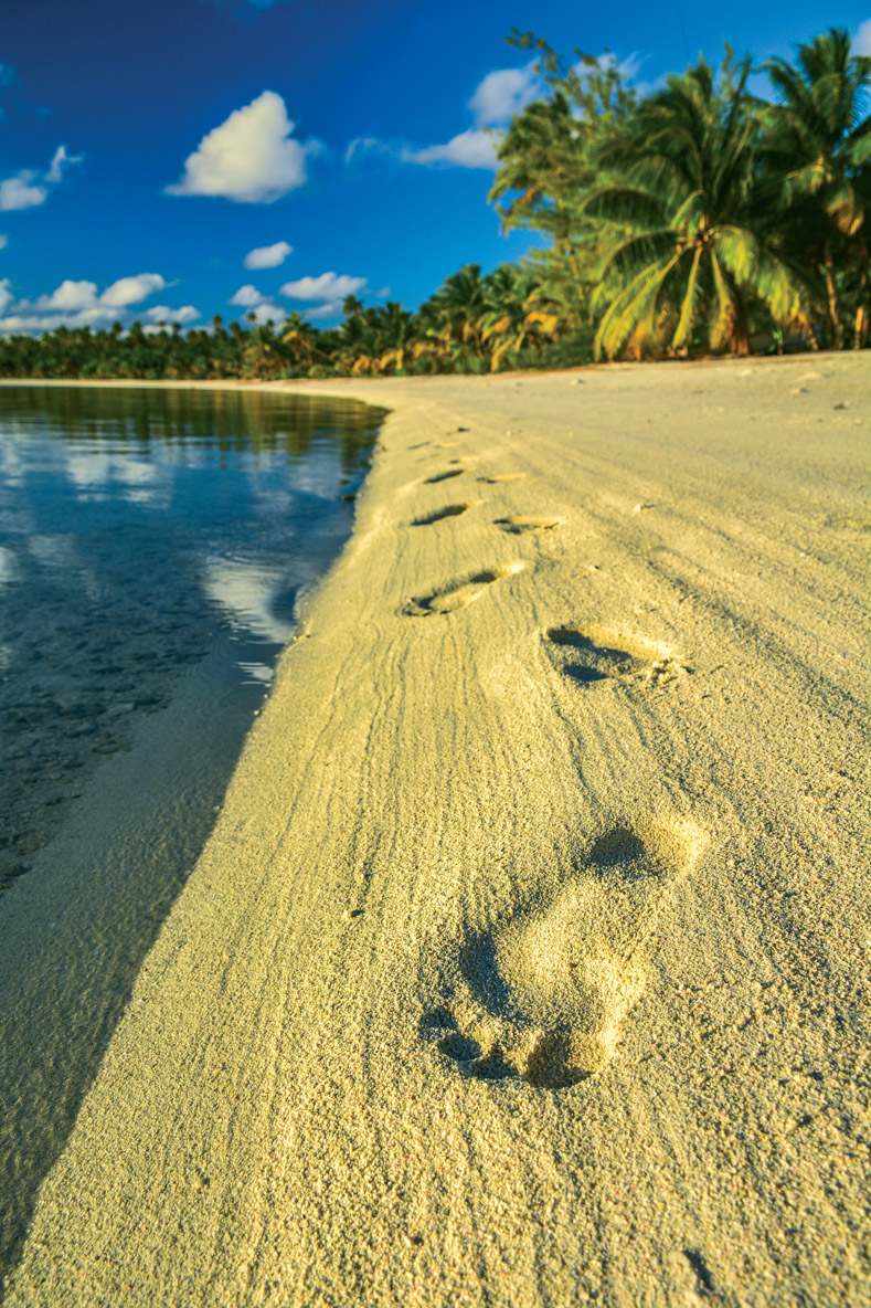 Perfect sand and coconut palms as far as the eye can see.  All that’s missing is a little punch to sip - in moderation, of course!