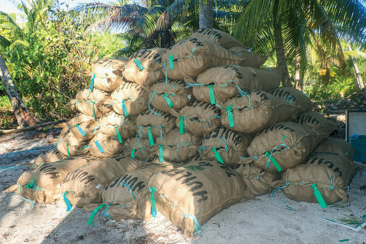 We must be well over 20 tons; a good copra harvest this month