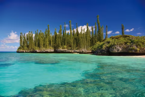 Gadji, a fabulous contrast between sea, sky and pines!
