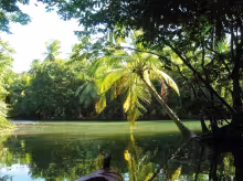 Dominica