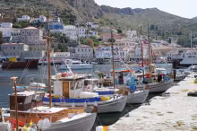 Hydra