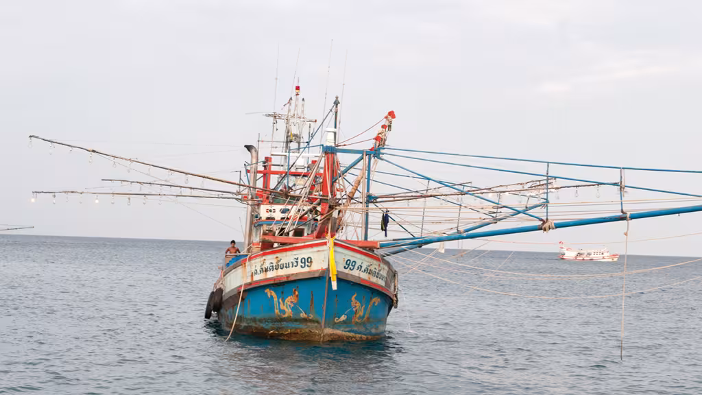 These boats fish for squid during the night, attracting them with powerful lights. Hard to miss them!