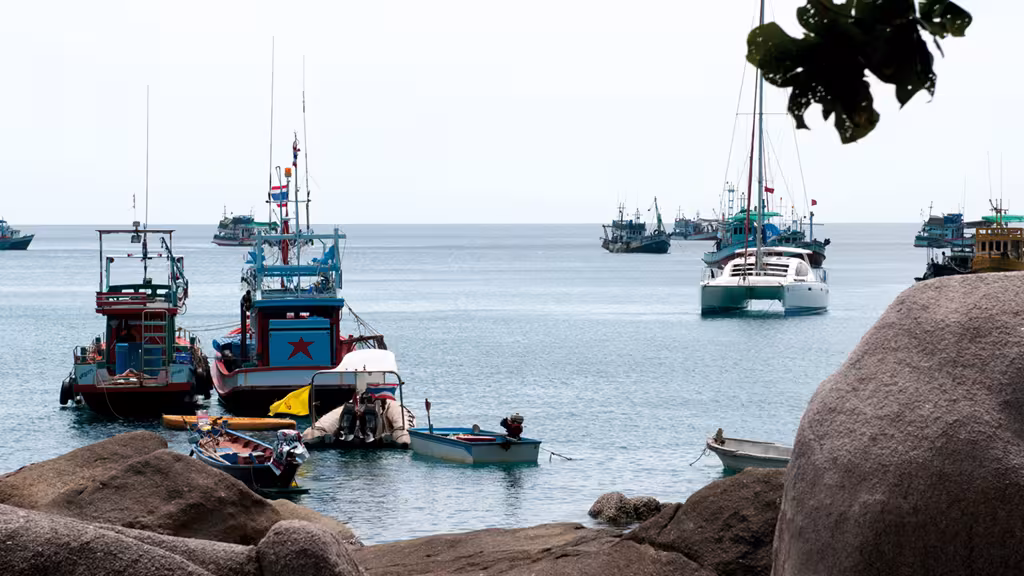 Your neighbors in the anchorage will be either fishermen, or dive boats...