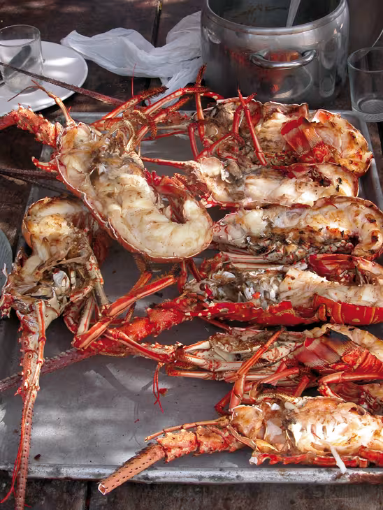 One thing’s for sure, after returning ashore, you won’t be eating as many lobsters... 