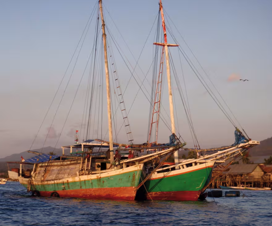 We shared our anchorage with various other Indonesian commercial craft.  