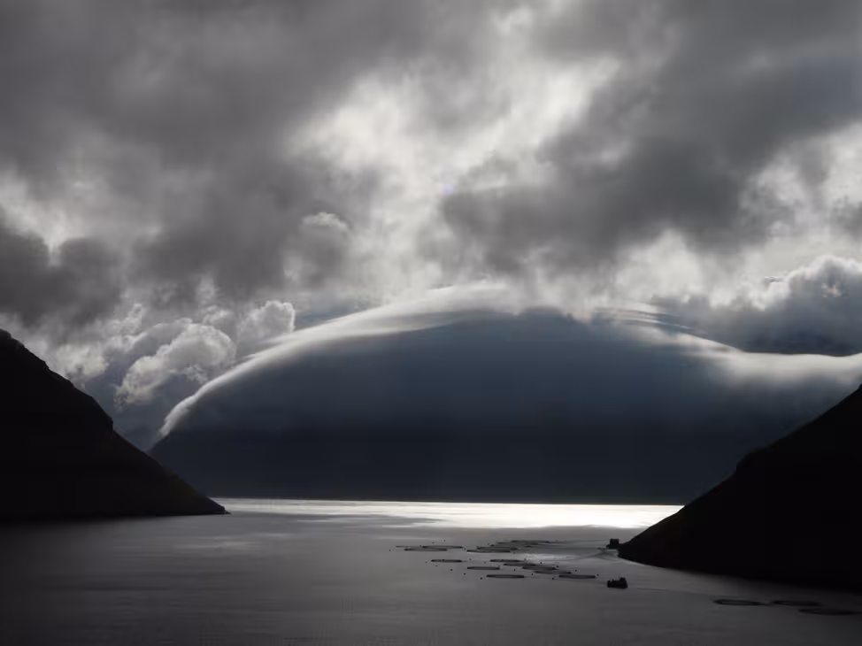 Hallucinating vision after a squall... 