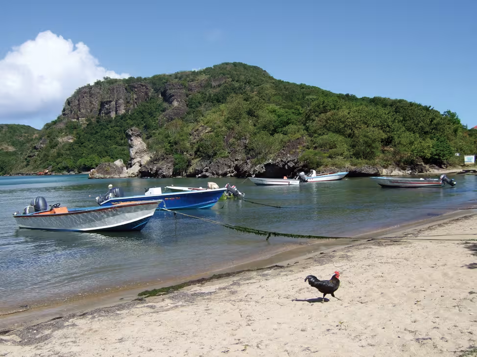 Anchored in the middle of some fishing boats. A typically Guadeloupian scene.   
