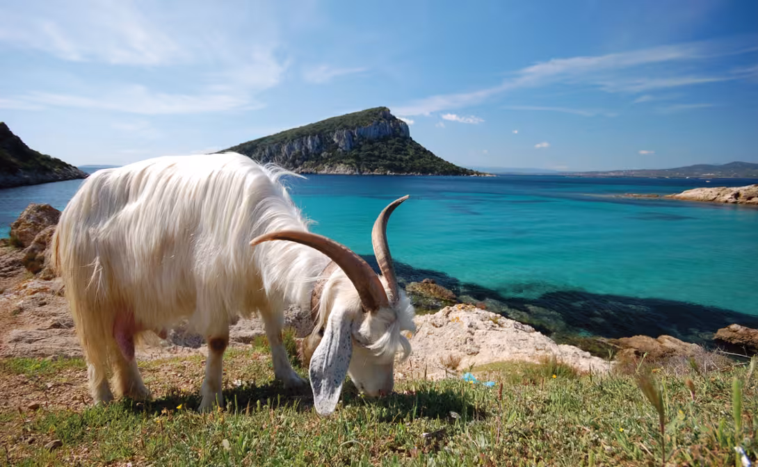 An unexpected encounter during a cruise along the coast.  