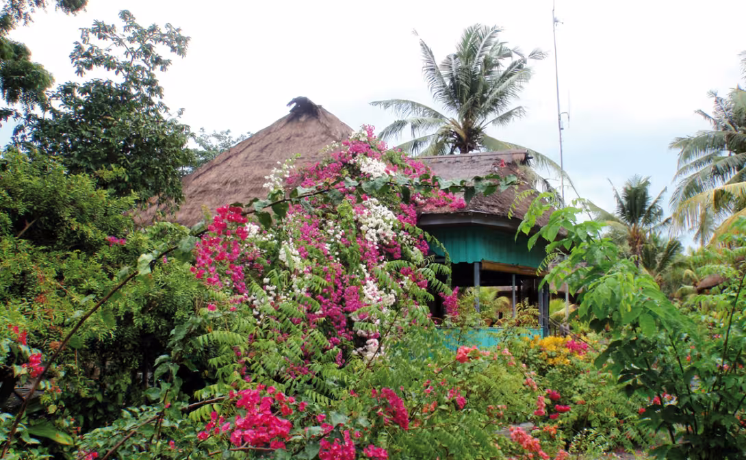 House by the sea on the north coast of Flores…