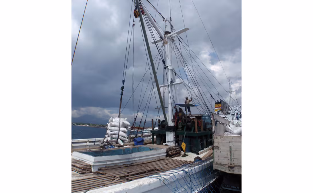Commercial operations for this schooner in Maumere harbor…
