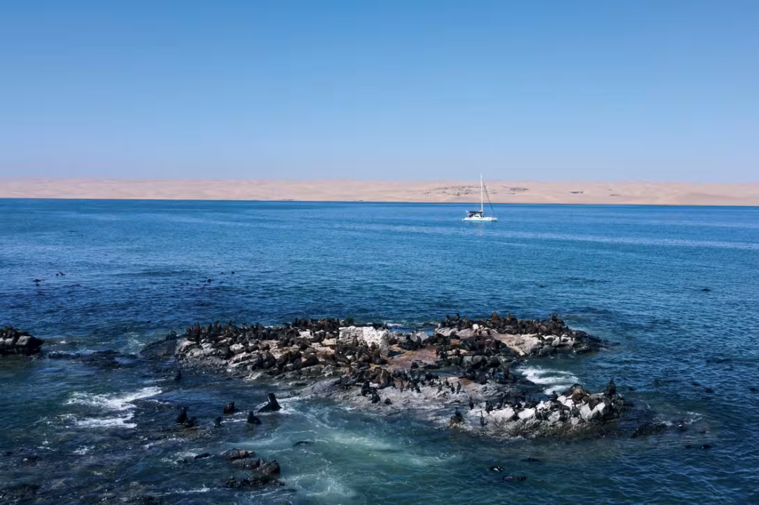 The famous Sea Lion Island, at the southern entrance to the anchorage, is home  to cormorants and all their local friends.